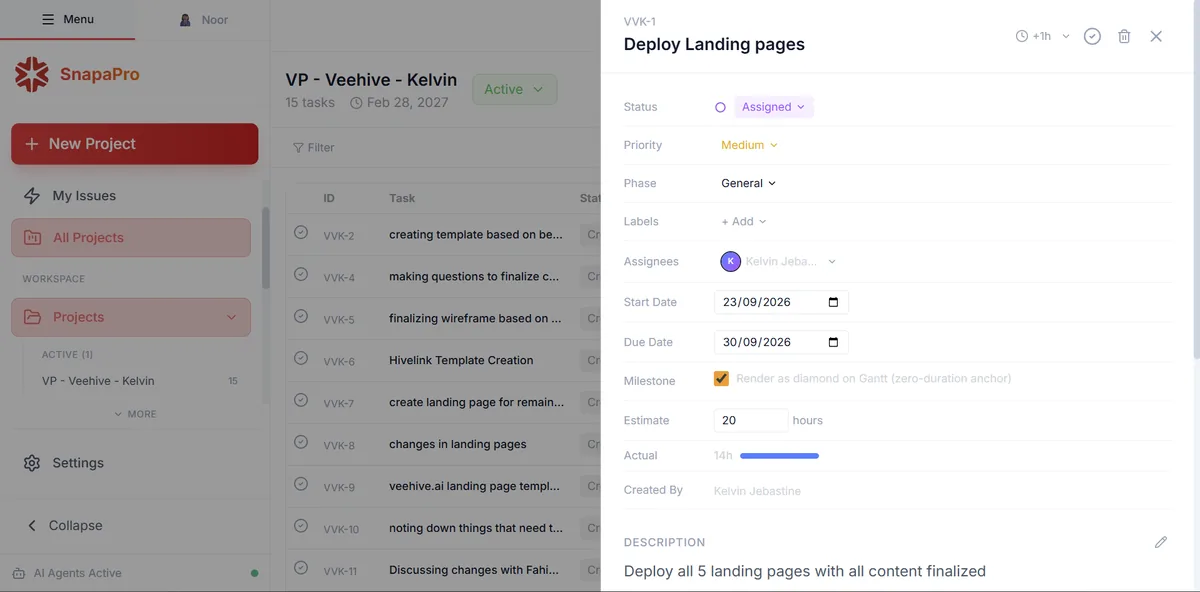 SnapaPro issue list with a task open, showing status, assignee, dates and estimate