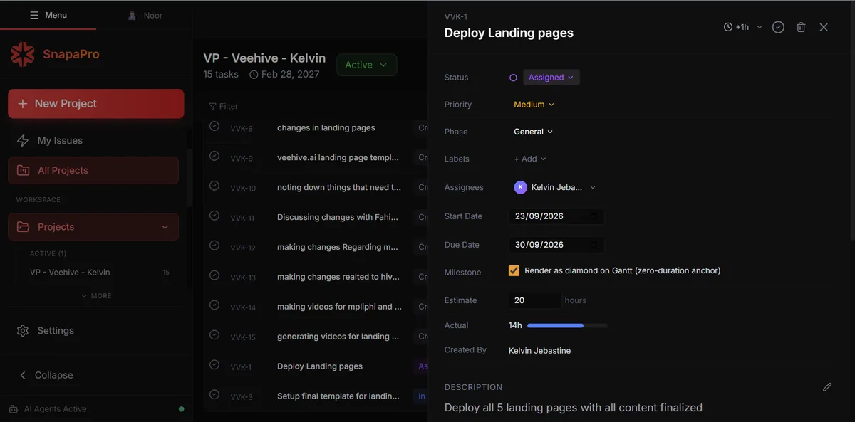 SnapaPro issue list with a task open, showing status, assignee, dates and estimate